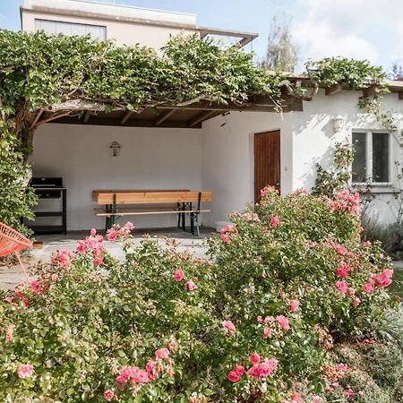 Haus Im Zentrum Mit Garten Villa Bregenz Buitenkant foto